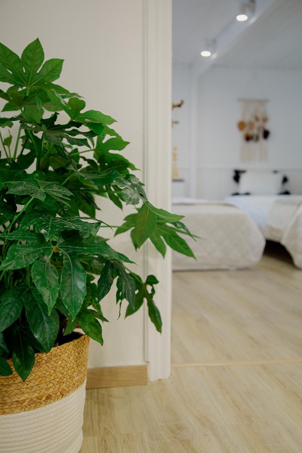 Iris Garden Retreat Apart otel Corinth Dış mekan fotoğraf