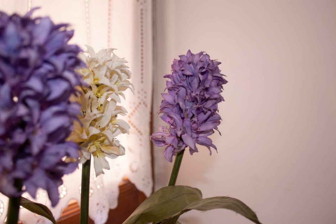Iris Garden Retreat Apart otel Corinth Dış mekan fotoğraf